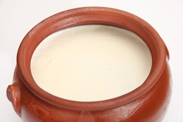 Yogurt