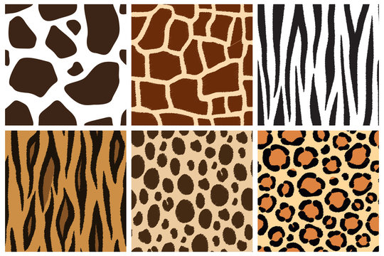Animal skin. Seamless patterns