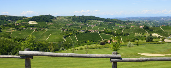 Summer landscape in Langhe (Italy)