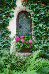 Castle window and vivid pink flowers