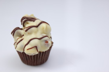 Delicious chocolate praline are tasty dessert.