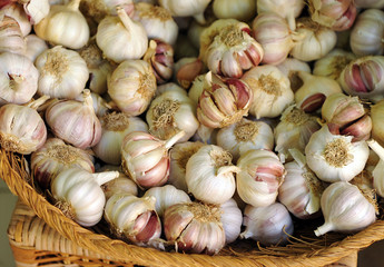 Basket with garlic on the market