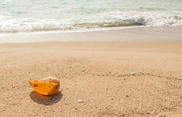 Fototapeta na wymiar Conch shell on beach with waves.