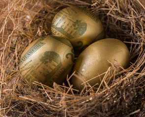 Dollar in golden eggs with nest, wealth concept.