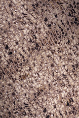 spotty fabric colors
