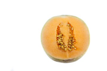 sun lady cantaloupe melon