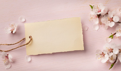 art Spring border background with pink blossom