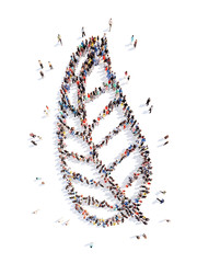 people in the form of a leaf .