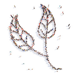 people in the form of a leaf .
