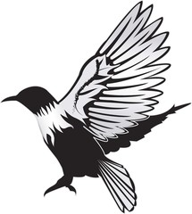 Vector bird