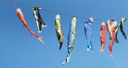 Naklejka premium Japanese koinobori flags for Children's day