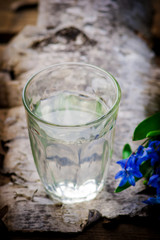 birch sap in a glass