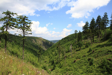 Fototapeta na wymiar jeseniky mountains (czech republic)