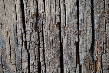 Grunge Wooden Texture used as background