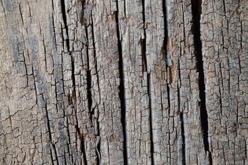 Grunge Wooden Texture used as background 