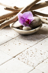 drift wood on beige stones for soft spa decor