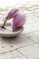 Fototapeta na wymiar magnolia flowers in stone cup of water with wood element