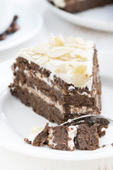 piece of delicious chocolate cake with cream, close-up