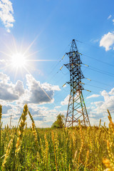 Obraz premium High voltage line and wheat field