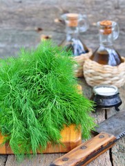 Fototapeta premium Bunch of fresh dill with olive oil on a wooden table