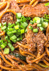 Close up view of popular Malaysian stir fried noodles 