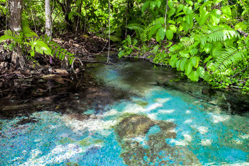 Emerald Pool