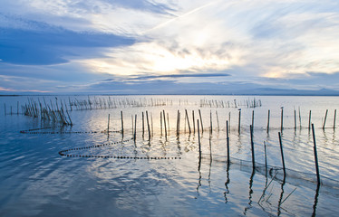 Obrazy na Plexi  czas wolny i wędkowanie w jeziorze