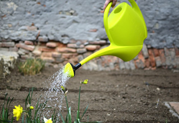 Spring work in the garden