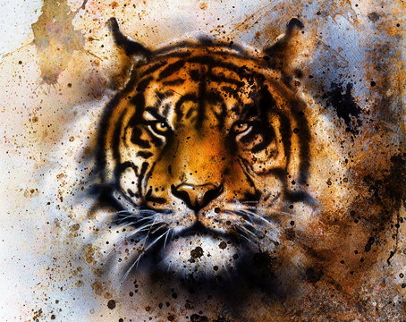  tiger collage on color abstract  background,  rust structure, w