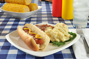 Grilled mustard dog