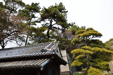 Fototapeta na wymiar Kaiserpalast Garten in Tokyo, Japan