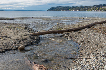 Flowing Into The Puget Sound