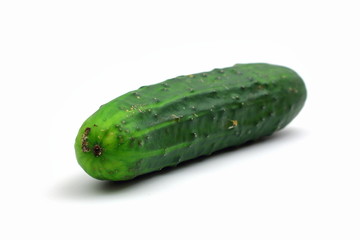 landgurke auf weißem hintergrund