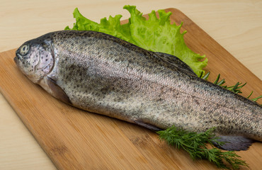 Raw fresh trout