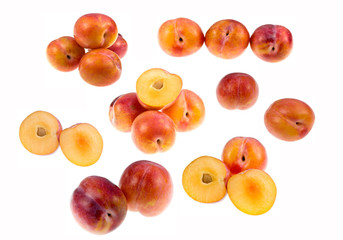 Aurora Plums