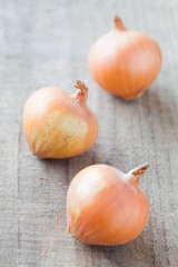 Small fresh gold onion on wood background