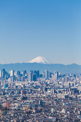 Fototapeta premium Tokyo city view and Mountain Fuji in winter season