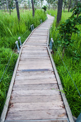 Naklejka na ściany i meble wood bridge walk in the park Pa Hin Ngam National Park in Thai