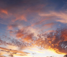 Fototapeta premium Summer sky