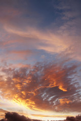 Fototapeta premium Summer sky