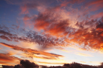 Fototapeta premium Summer sky