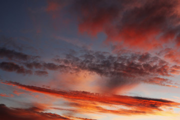Fototapeta premium Summer sky