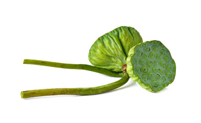 Lotus seeds and pods of lotus on white background © yodaswaj