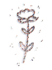 people in the shape of a flower, and ecology.