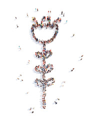 people in the shape of a flower, and ecology.