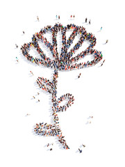 people in the shape of a flower, and ecology.