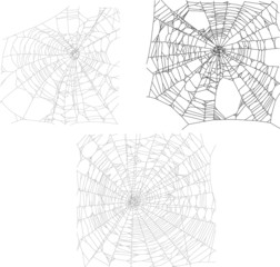 Obraz premium three black spider webs collection