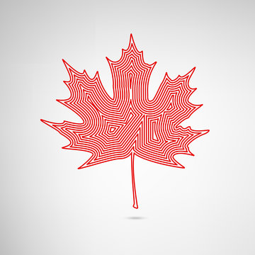 Lined Maple Leaf