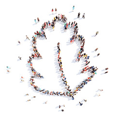 people in the shape of a flower, and ecology.