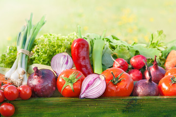 fresh organic vegetables